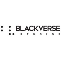 Blackverse Studios logo - Similar company to Fedworks