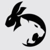 R.O.A.R logo - Similar company to Dayra Camp