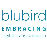 Blubird logo - Similar company to Blubird