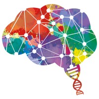 BRAINSCAPES logo - Similar company to Als Centrum Nederland