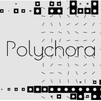 Polychora logo - Similar company to Florence Quantum Labs