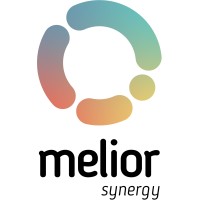 Melior Synergy logo - Similar company to Dimensi Global