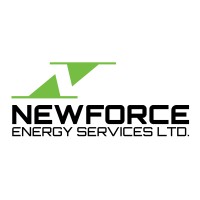 Newforce Energy Services Ltd. logo - Similar company to Terrafirma Resources