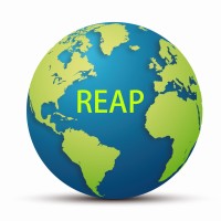 REAP MANAGEMENT GROUP LLC logo - Similar company to Stackcodify