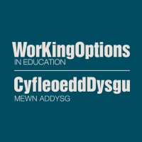 Working Options logo - Similar company to 180 Transformations Inc.
