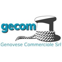 Gecom logo - Similar company to Peanutsstudio