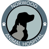 Norwood Animal Hospital