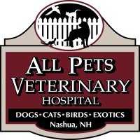 All Pets Veterinary Hospital, Llc