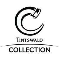 Tintswalo Collection logo - Similar company to Tiny Optics