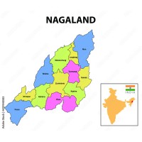 Nagaland Job Opportunity logo - Similar company to Prof. (Dr). A. Elayaperumal, Director, Nit Nagaland
