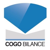 Cogo Bilance Srl logo - Similar company to Creatigroup