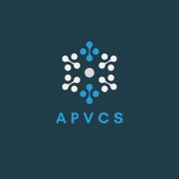 Ace Professionals Virtual Consulting Services logo - Similar company to Ace Professionals Pte Ltd