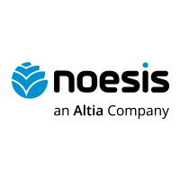 Noesis logo - Similar company to Novabase