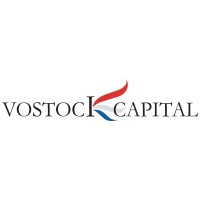 Vostock Capital UK logo - Similar company to Millenium Suzuki