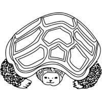 The Sustainability Project logo - Similar company to The Sustainability Project.