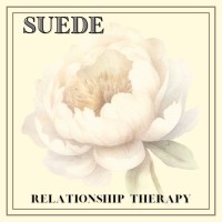 Suede Relationship Therapy logo - Similar company to Twth