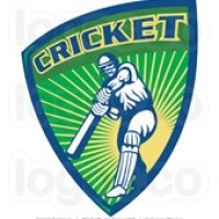 WashU Cricket Club logo - Similar company to University Of Queensland Cricket Club