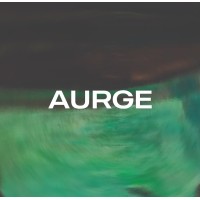 AURGE logo - Similar company to Rug Erp
