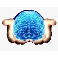 SteelBRAINS logo - Similar company to Borgo Creativo