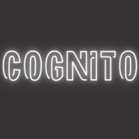 Cognito logo - Similar company to Kaleidoscope Creative