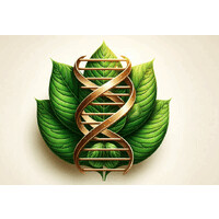 NaturaRenovar logo - Similar company to Elan Protección Patrimonial