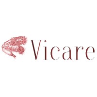 Vicare Technologies logo - Similar company to Energenius Srl | Maps Group