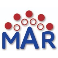 ام ايه ار للمحاسبة والمراجعة والضرائب logo - Similar company to Hlb Egypt Amgad Fathy Kamel