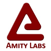 Amity Labs LLC logo - Similar company to Maitai Ai