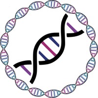 British Oncology Network For Undergraduate Societies