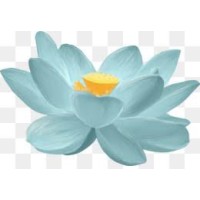 Akhilam Aesthetics logo - Similar company to Google Campus