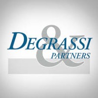 Degrassi&Partners logo - Similar company to Mint Solutions