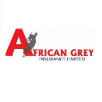 African Grey Insurance Limited logo - Similar company to Mojomula