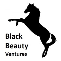 Black Beauty Ventures logo - Similar company to מנצח-תקריירה