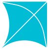 Nexkites logo - Similar company to Tech Surya It Solution
