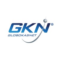 GTV GloboKasNet LLC logo - Similar company to Top Cm Consulting
