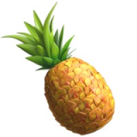 Piña Colada logo - Similar company to Leonis Investissement