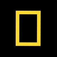 National Geographic Channel - India logo - Similar company to Summerth Technologies