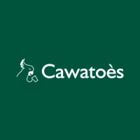 Cawatoès logo - Similar company to Roux Informatique
