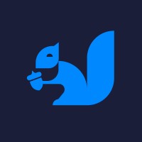 Brilliant Squirrel Bookkeeping logo - Similar company to H & A Bookkeeping