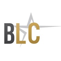Black Life Coaches Network logo - Similar company to Miag Consulting