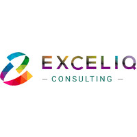 Exceliq Consulting (India) Pvt.Ltd. logo - Similar company to Exxceliq Solutions