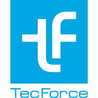 TecForce logo - Similar company to Digital Advisers