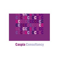 Caspia Consultancy Ltd logo - Similar company to Hendeca Group Ltd