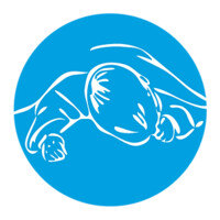 Associazione Pulcino logo - Similar company to Spidocook