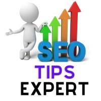 SEO Tips Expert logo - Similar company to Seo Turtle