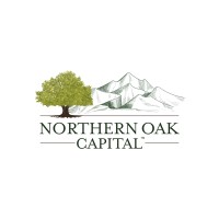 Northern Oak Capital logo - Similar company to Coeus Advisors Private Limited