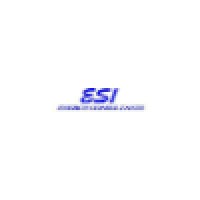 Esi Energy Consultants