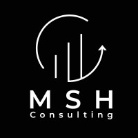 MSH Consulting logo - Similar company to Scale Sessions