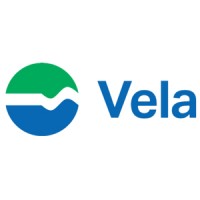 Ve.La. S.p.A. Venice logo - Similar company to Flownet