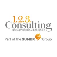 123 Consulting logo - Similar company to Sumer